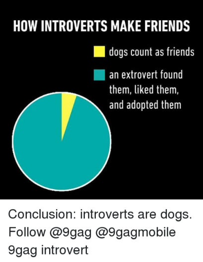 how-introverts-make-friends-dogs-count-as-friends-an-extrovert-15964753